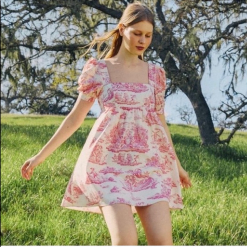 Laura Ashley by Urban Outfitters Toile Dress Small limited edition